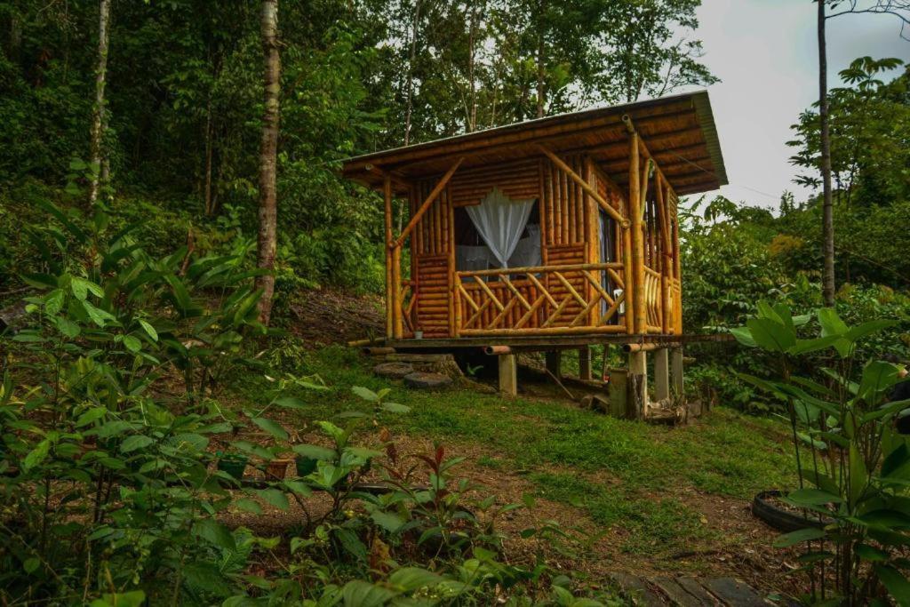 Отель Donde Se Oculta El Sol Вильягарсон Экстерьер фото